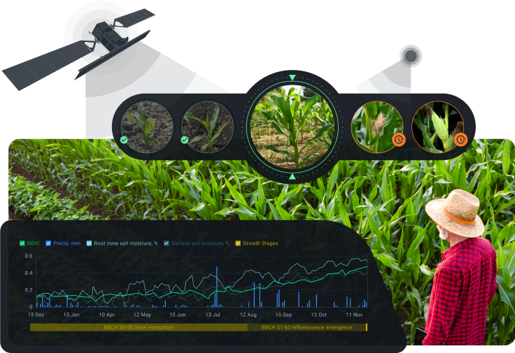 crop management based on growth stage using satellite-derived data