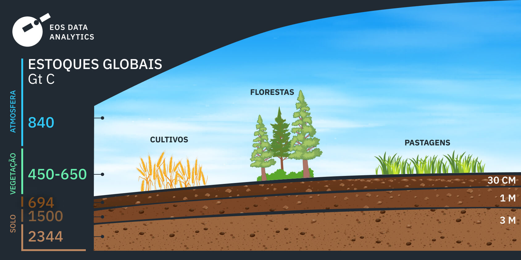 quanto há sequestro de carbono no solo na Terra