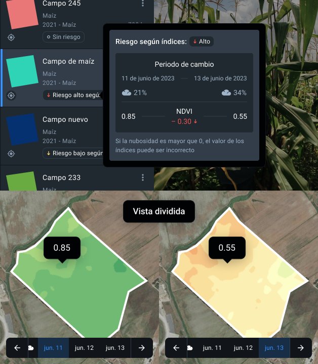 Vista dividida de un campo en EOSDA Crop Monitoring