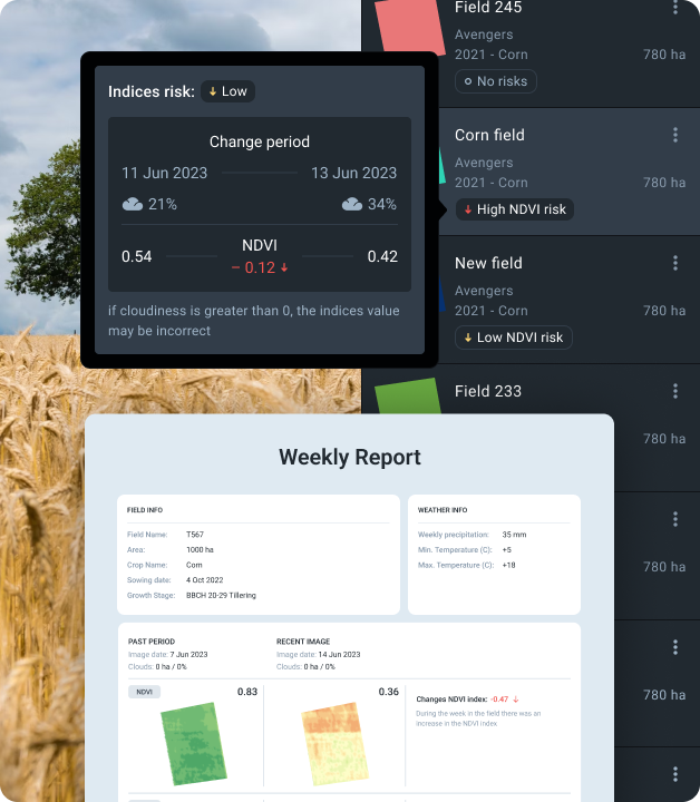 Weekly report and Index risk panel