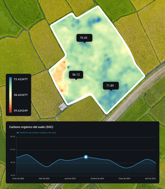 Gráfico que muestra la cantidad de carbono orgánico en el suelo de un campo
