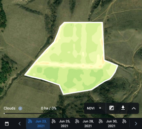  field's NDVI values in 2021