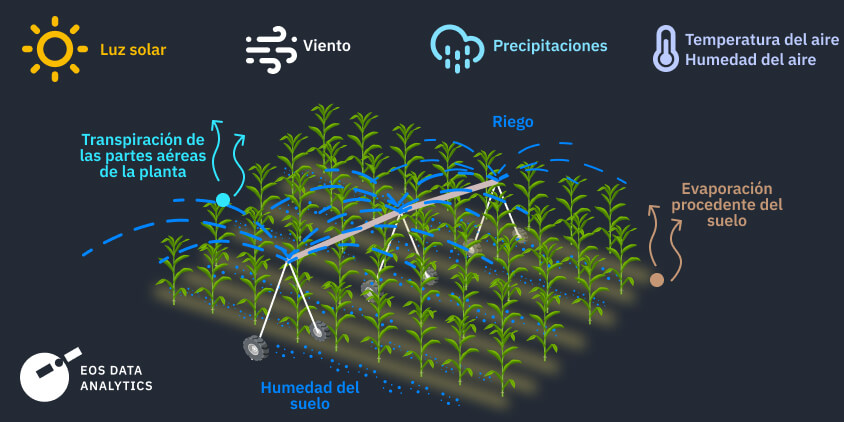 diagrama del ciclo del agua en la evapotranspiración