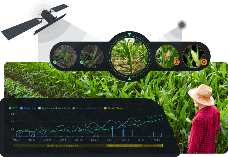 crop management based on growth stage using satellite-derived data