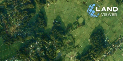 satellite images for forestry on LandViewer