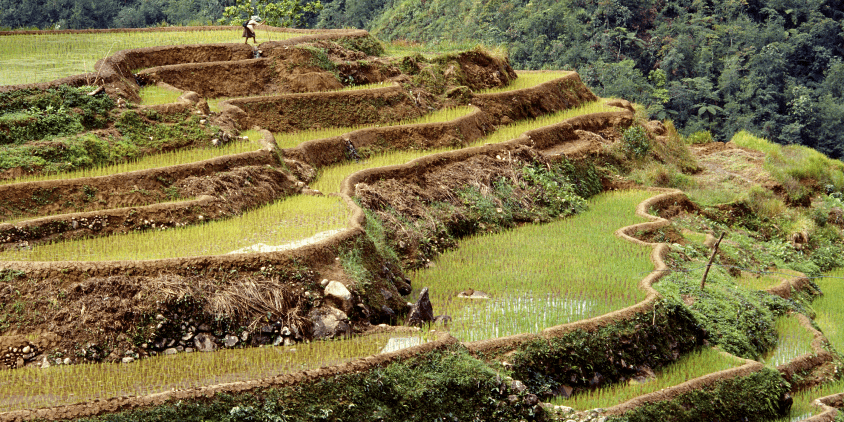 slope modified for terrace farming