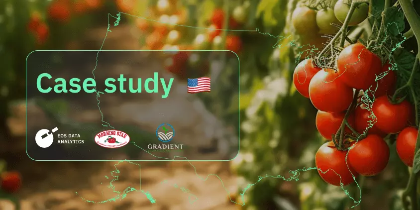 The Morning Star Uses Satellite Data For Tomatoes In California