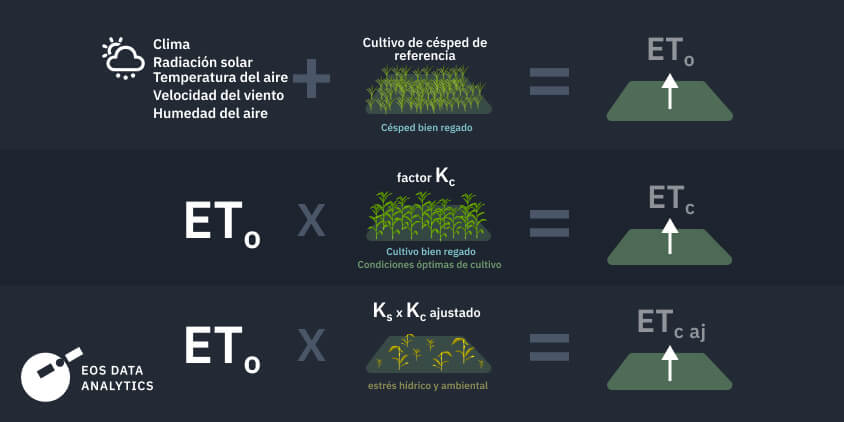 los 3 diferentes casos de evapotranspiración
