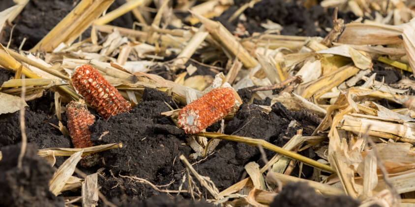 Crop Residue Management: Importance, Benefits, And Hurdles