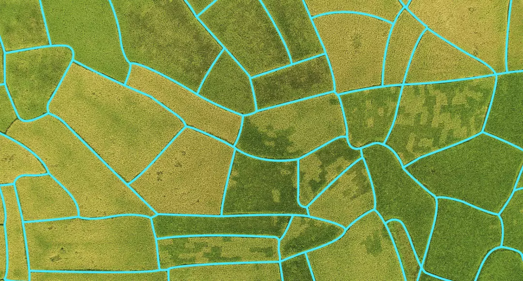 carte avec limites du champ