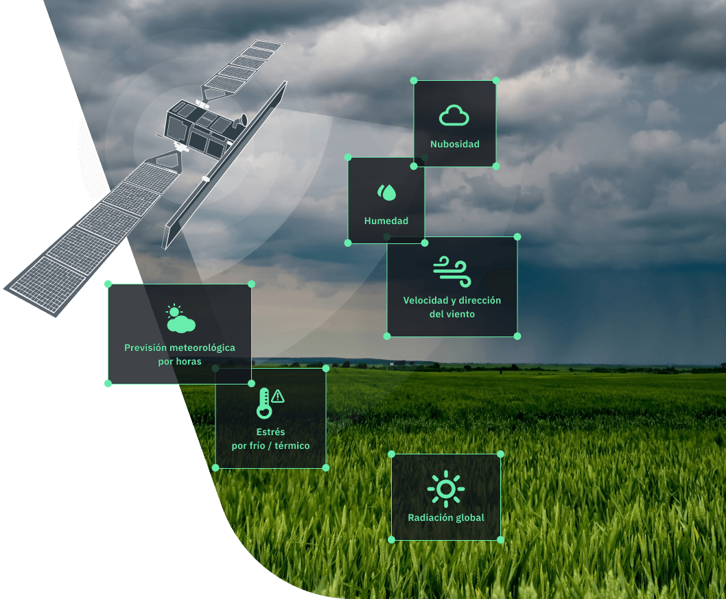  datos meteorológicos para la agricultura en EOSDA Crop Monitoring