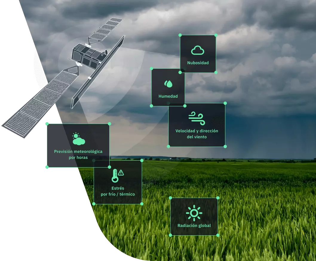  datos meteorológicos para la agricultura en EOSDA Crop Monitoring