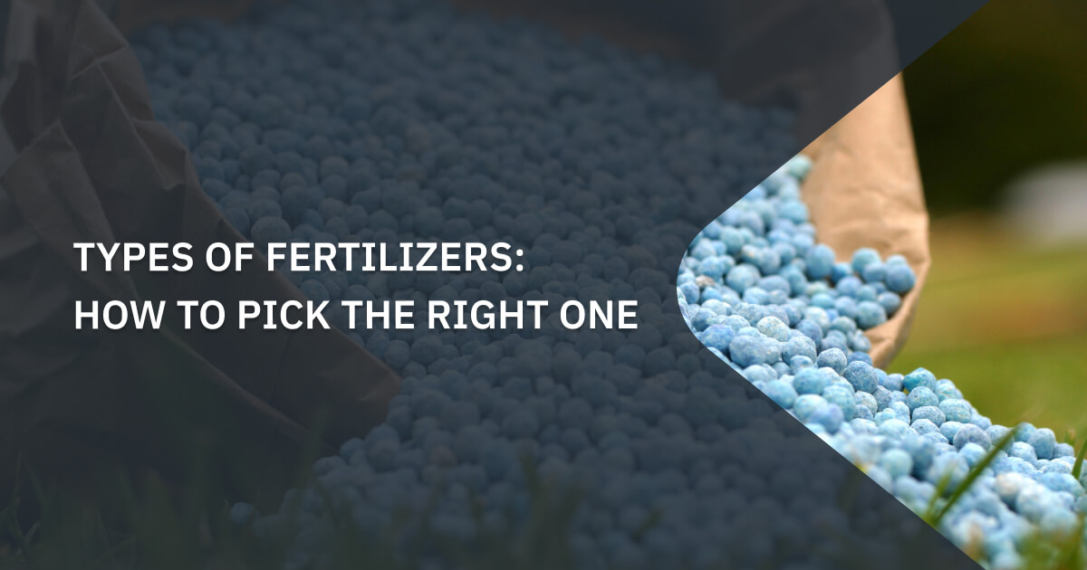 Types Of Fertilizers Different Compositions Origins And Forms