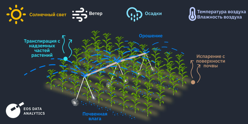 схема процесса эвапотранспирации