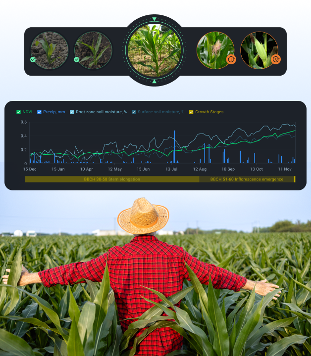 crop growth stages illustration