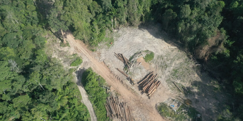 An aerial view of a logging process