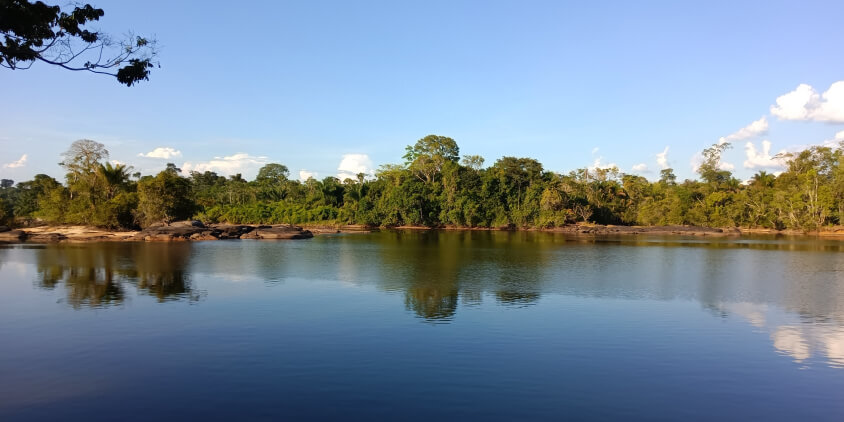 Suriname river landscape