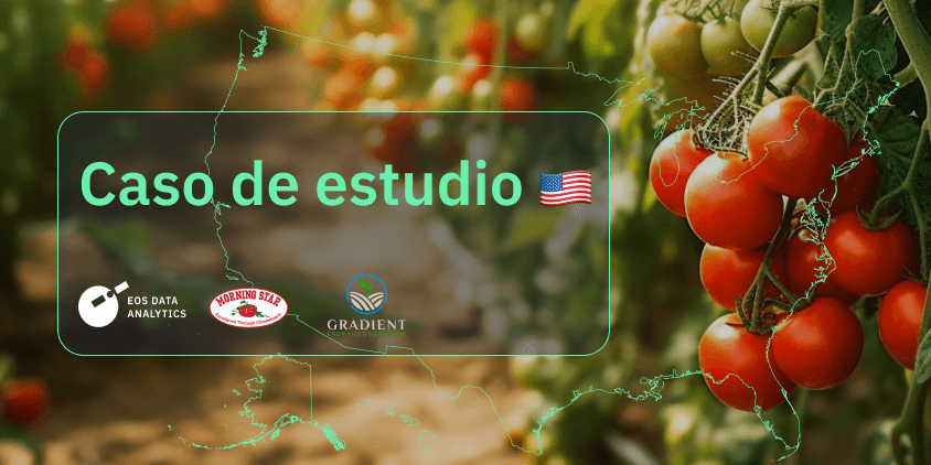 Caso de estudio de The Morning Star, el mayor fabricante de productos de tomates del mundo