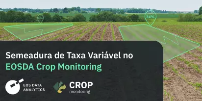 Semeadura De Taxa Variável: Benefícios E Aplicação