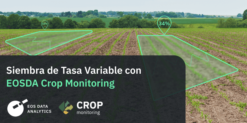 visualización de la siembra de tasa variable en un campo