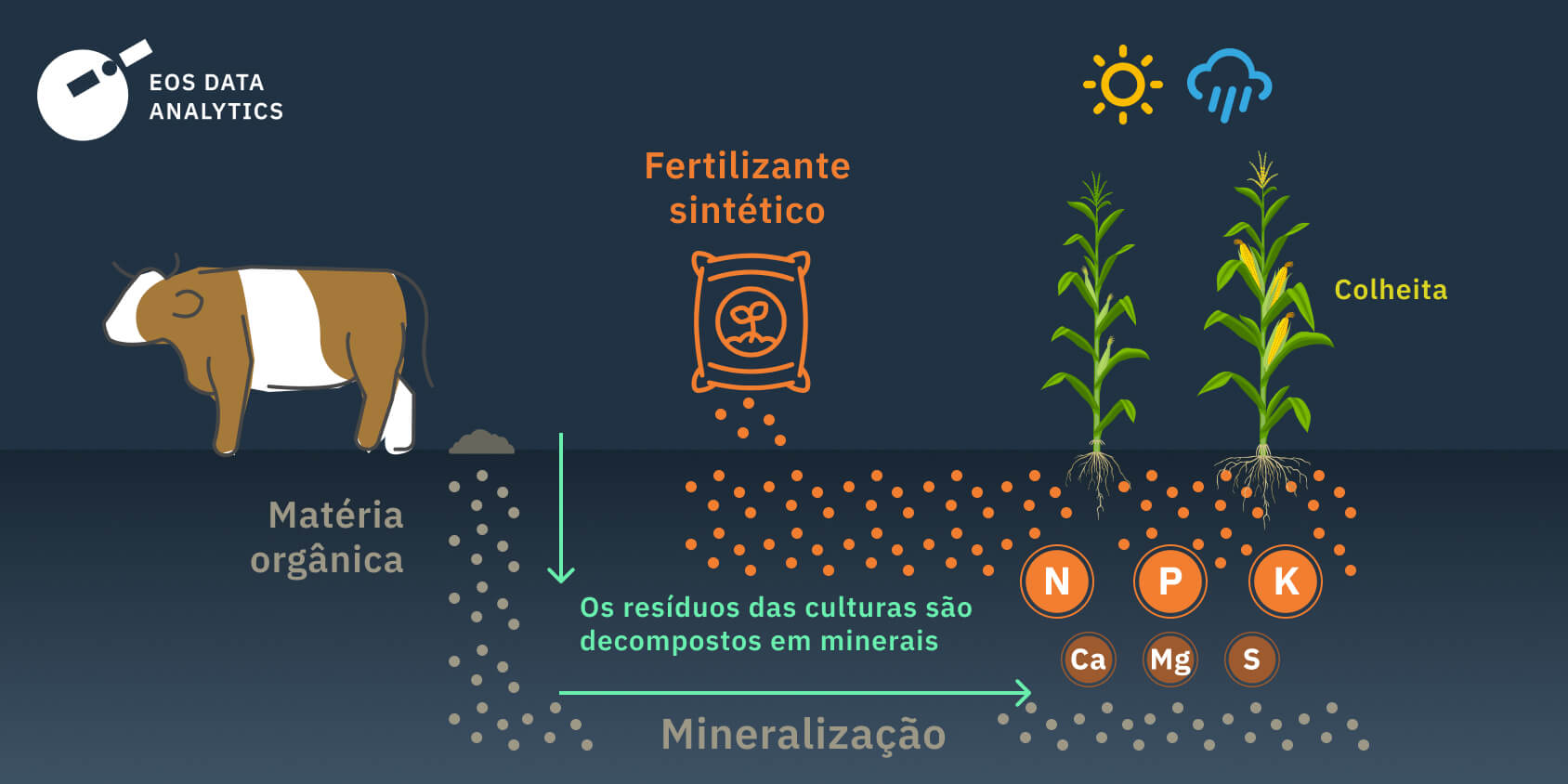 diferença entre os tipos de fertilizantes orgânicos e inorgânicos