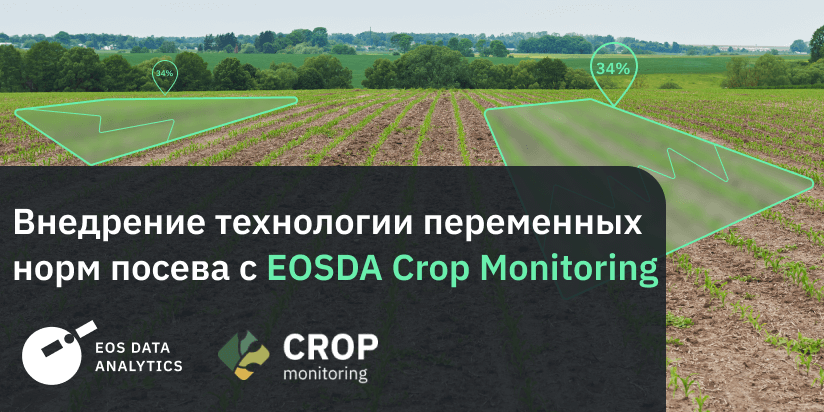 Переменные Нормы Посева: Преимущества И Особенности Технологии