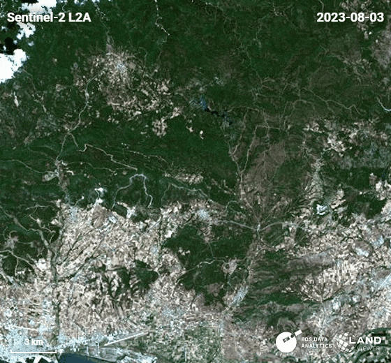 rescaldo dos incêndios florestais na floresta de Dadia