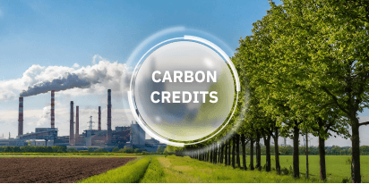 Carbon Credits: How They Work And Benefit The World