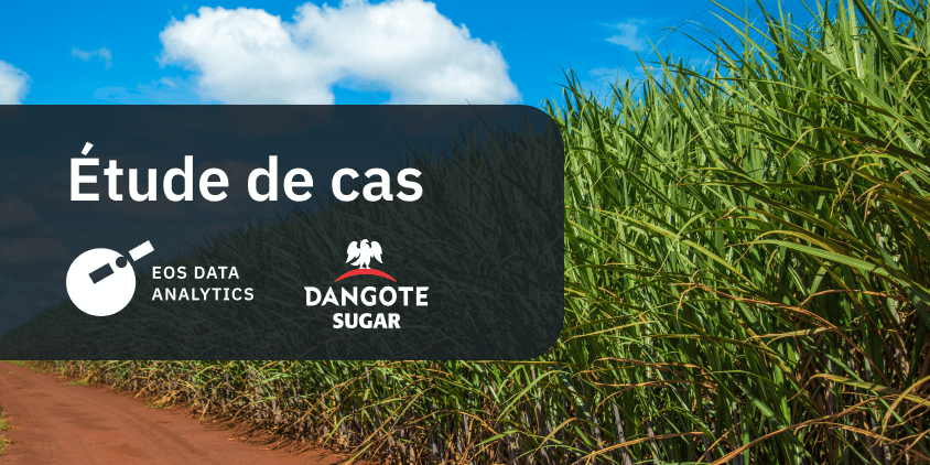 Étude de cas: Dangote utilise des données satellitaires pour cultiver la canne à sucre au Nigeria