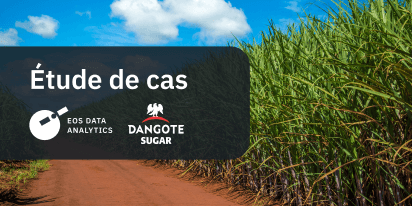 Dangote Utilise Télédétection Pour Cultiver Canne À Sucre Nigeria