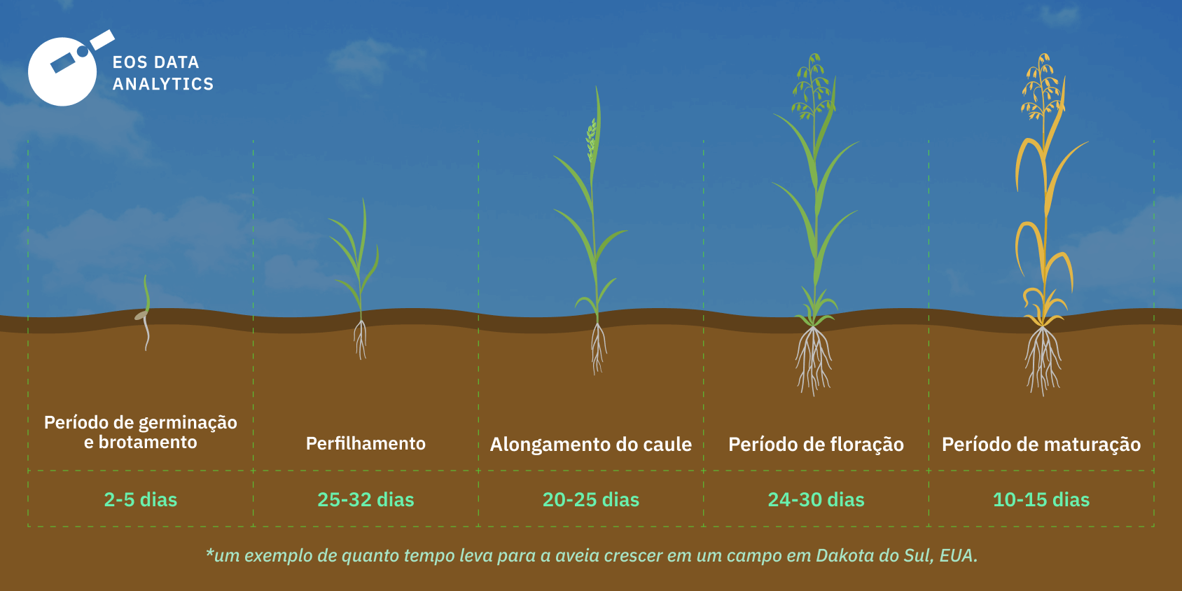 tempo para fazer o plantio de aveia em Dakota do Sul