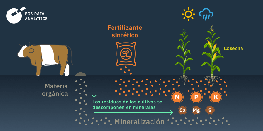 diferencias entre los tipos de fertilizantes por su composicion y origen
