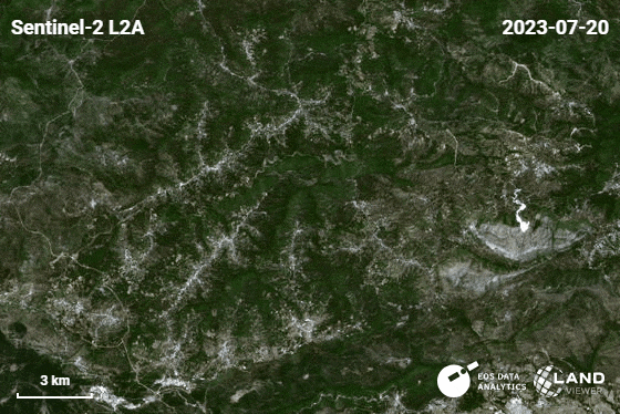 incêndios florestais na Argélia e no Norte de Africa