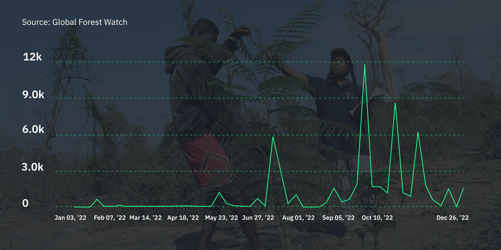 Fire alerts graph in Madagascar