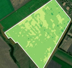 MSAVI: Modified Soil Adjusted Vegetation Index