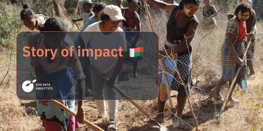 reviving baobab forests in Madagascar