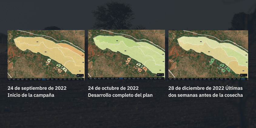 lapso de tiempo de las imágenes NDVI del pantano de Musasa