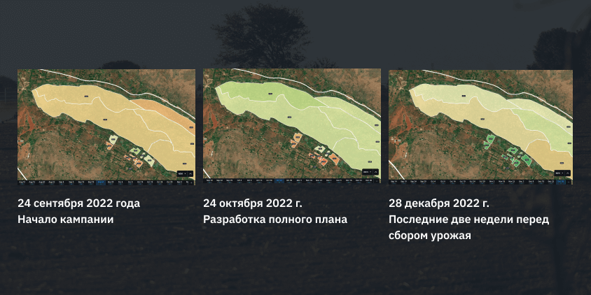 таймлапс снимков NDVI болота Мусаса