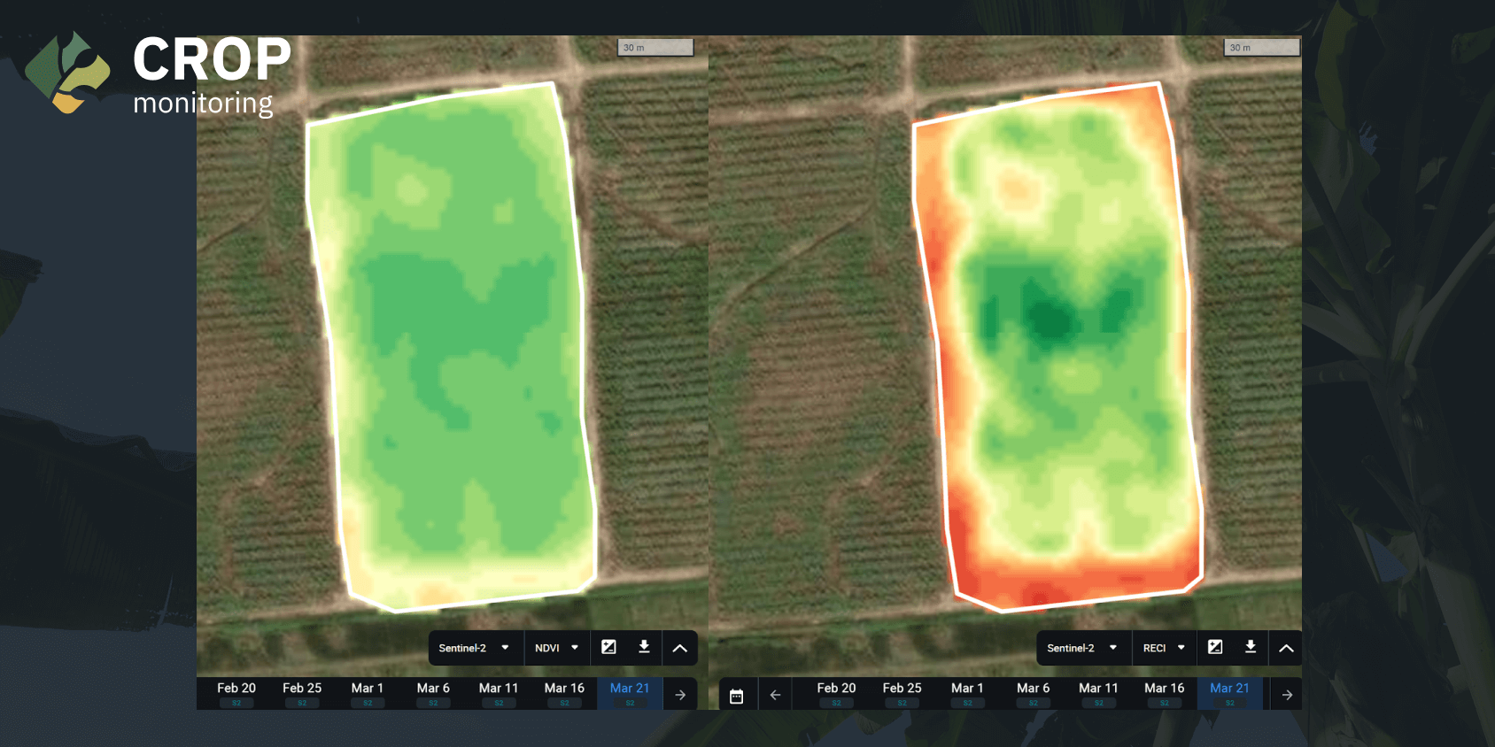 banana farms in the Philippines with NDVI and ReCl