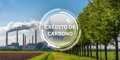 Créditos De Carbono: Como Eles Funcionam E Beneficiam O Mundo