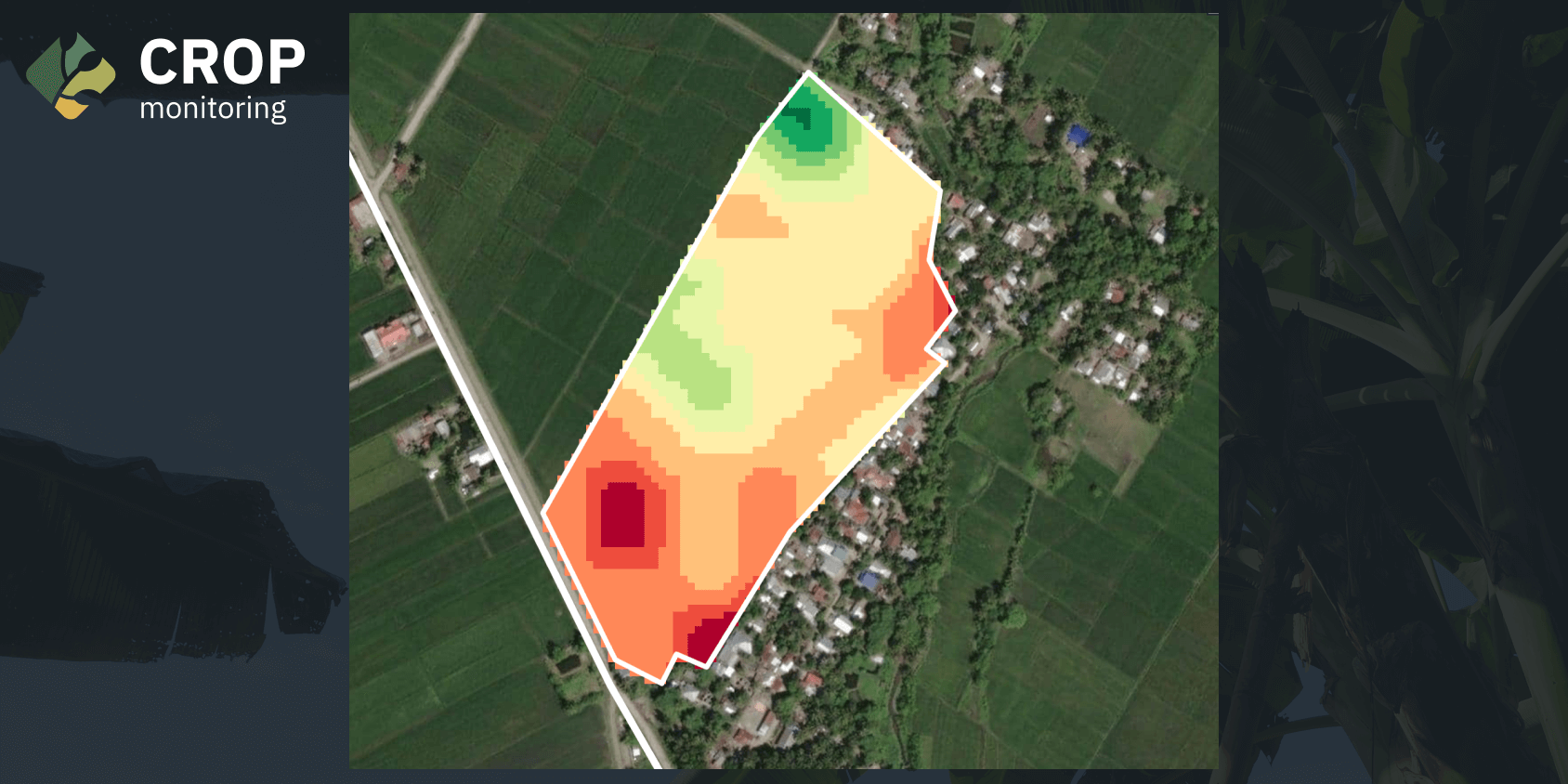 elevation map of a rice field from EOSDA Crop Monitoring