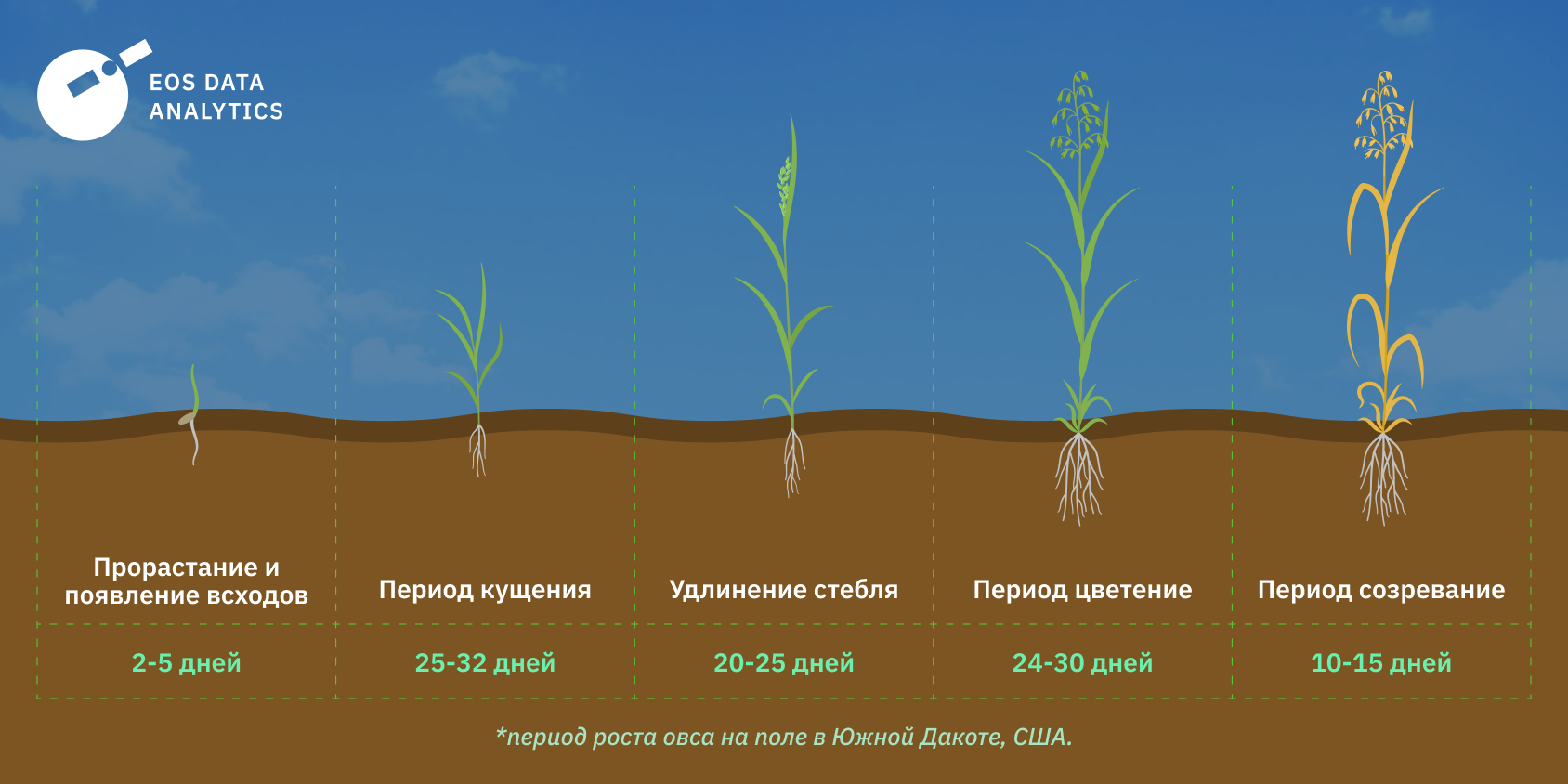 Время выращивания овса в Южной Дакоте