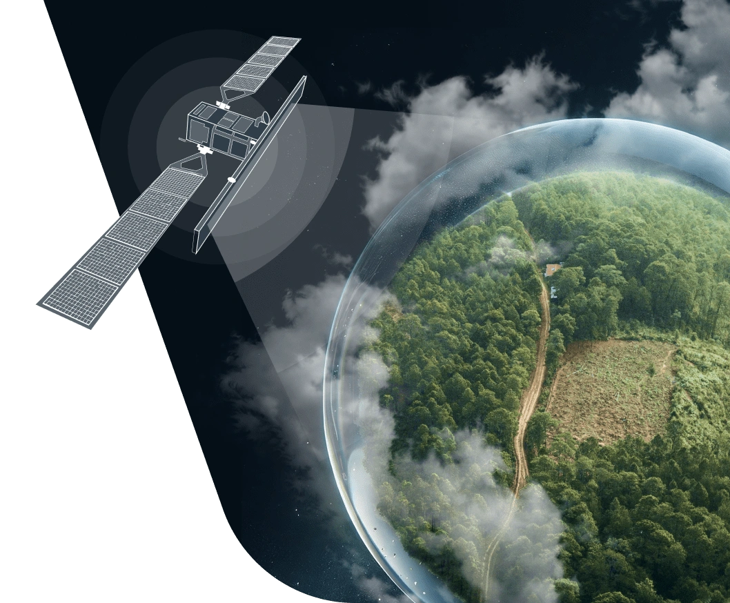 Satellite effectuant une surveillance des forêts par satellite