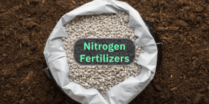 Nitrogen Fertilizers: Why And How To Apply Sustainably