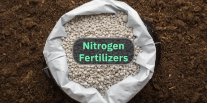 Nitrogen Fertilizers: Why And How To Apply Sustainably