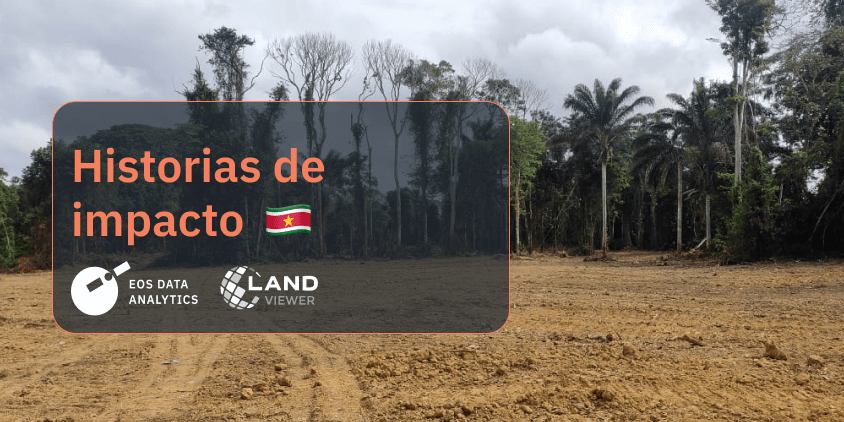 defensa de los derechos de los Saamaka en Surinam