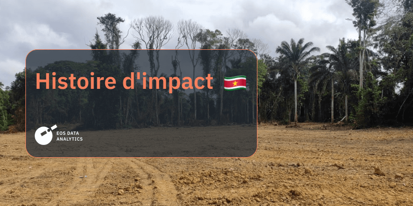 comment les Saamaka défendent leurs droits au Suriname
