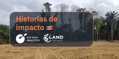 La Larga Historia De Saamaka, Los Defensores Del Bosque