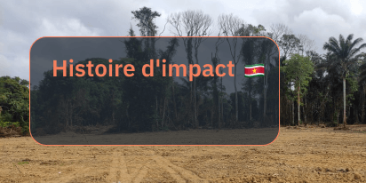 La Longue Histoire Des Saamaka, Défenseurs De La Forêt