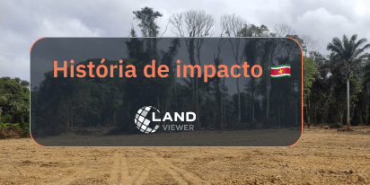 História De Décadas De Saamaka, Defensores Da Floresta